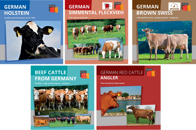 Cattle Export Brochures
